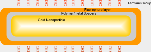 Fluorophore labeled gold nanoparticle
